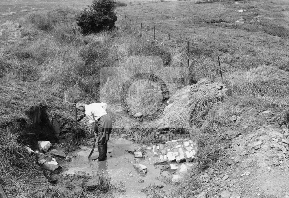 Wood Meadows, Excavations, 1953