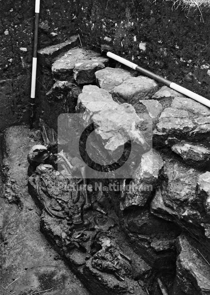 Skeleton in the cemetery, Castle Hill, Thurgarton, 1955