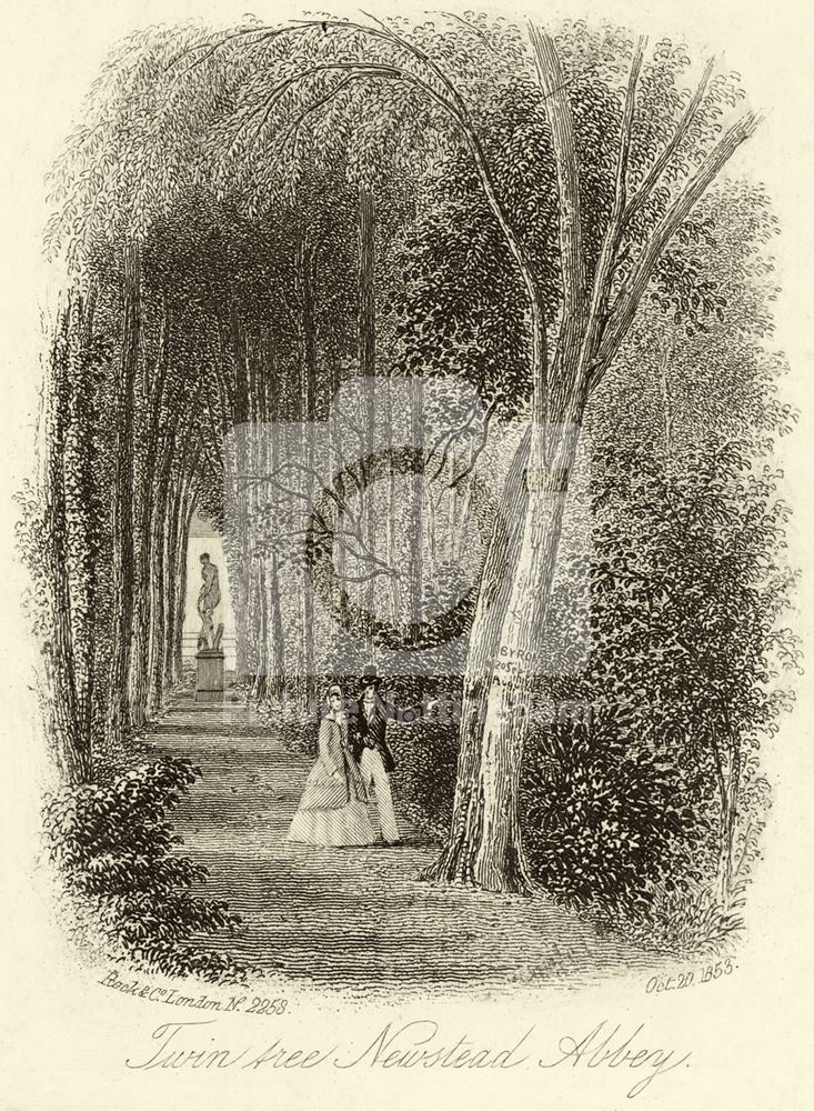 Newstead Abbey, Trees in Devil's Wood, 1853