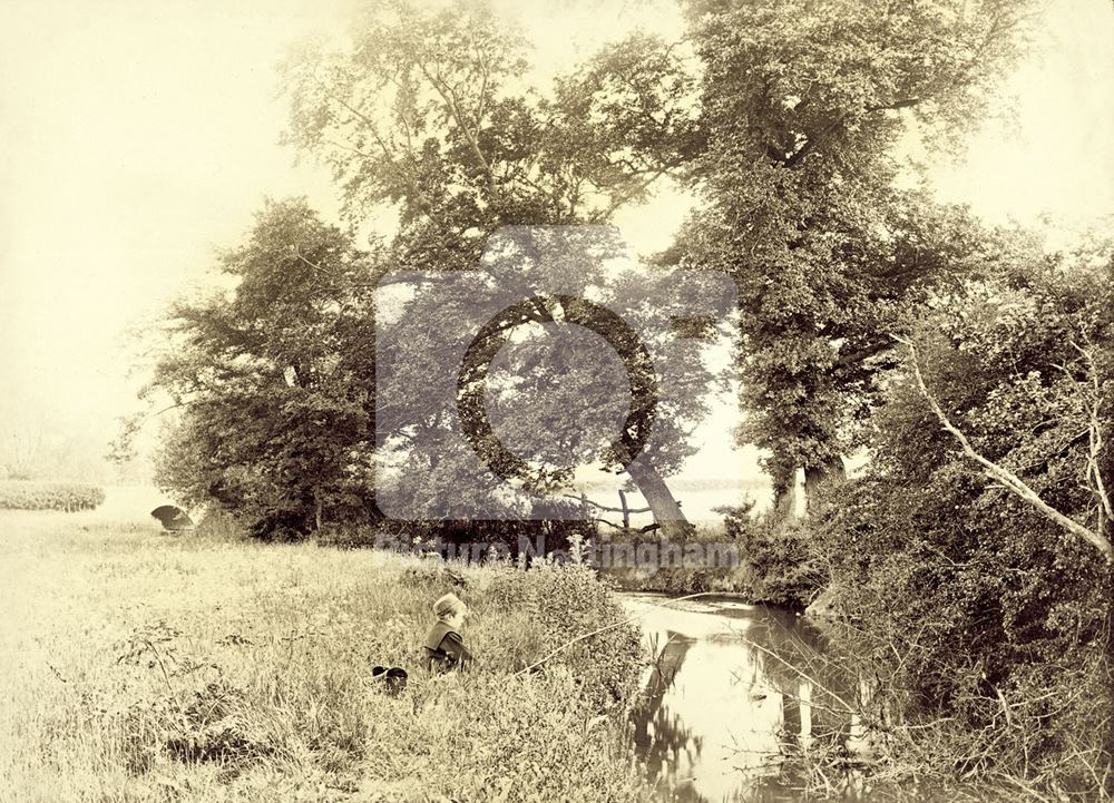 Fairham Brook, Wilford, Nottingham