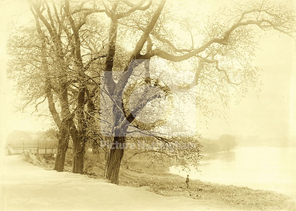 River Trent, Wilford, Nottingham