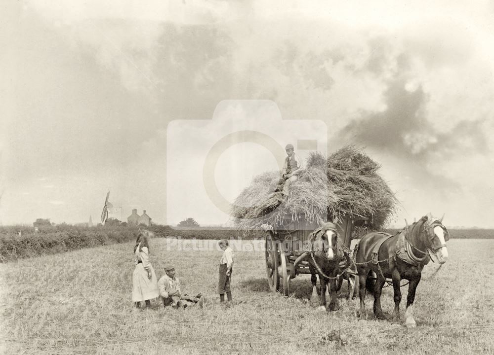 Haymaking in Ruddington