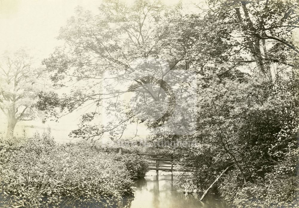 Bridge at Papplewick