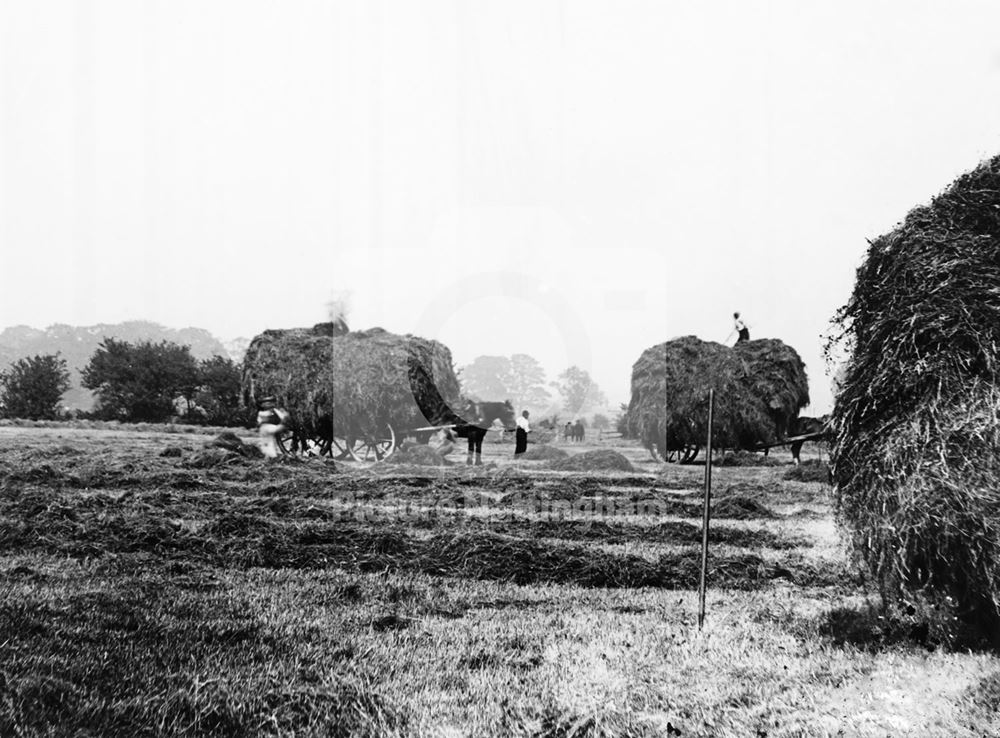 Haymaking, c 1895