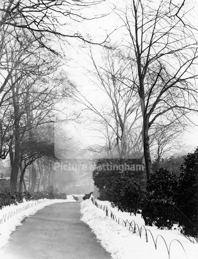 Top Walk, Arboretum, Nottingham, c 1898