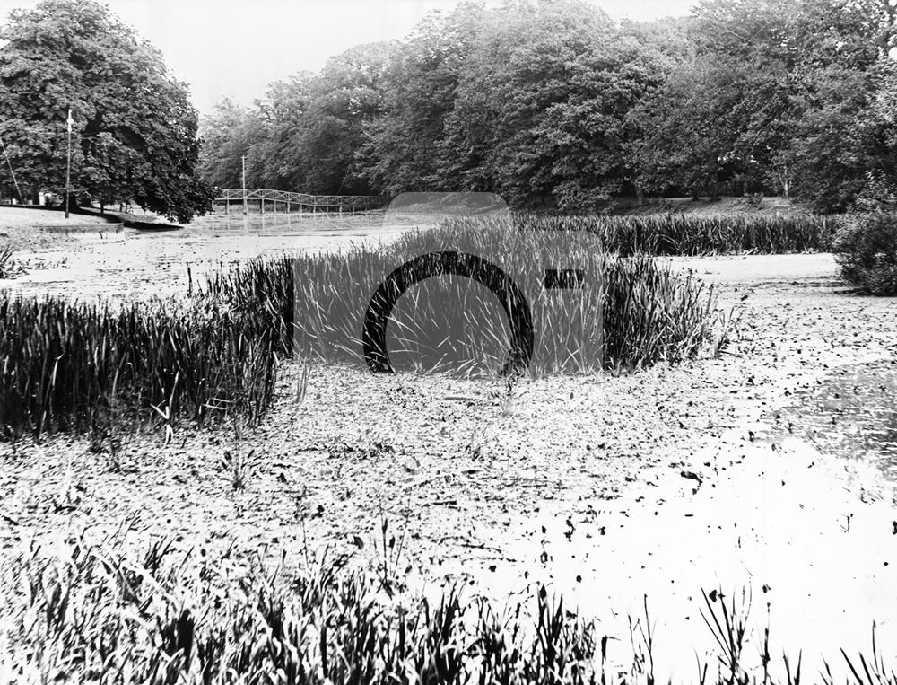 Colwick Lake, Colwick, Nottingham, c 1895