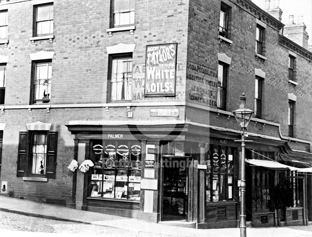 W F Palmer (Chemist), Union Road, Nottingham, c 1895