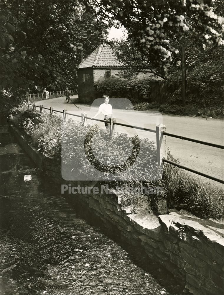 Cocker Beck, Lambley, 1958