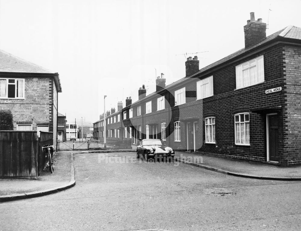 Chesil Avenue, Radford, Nottingham, 1975