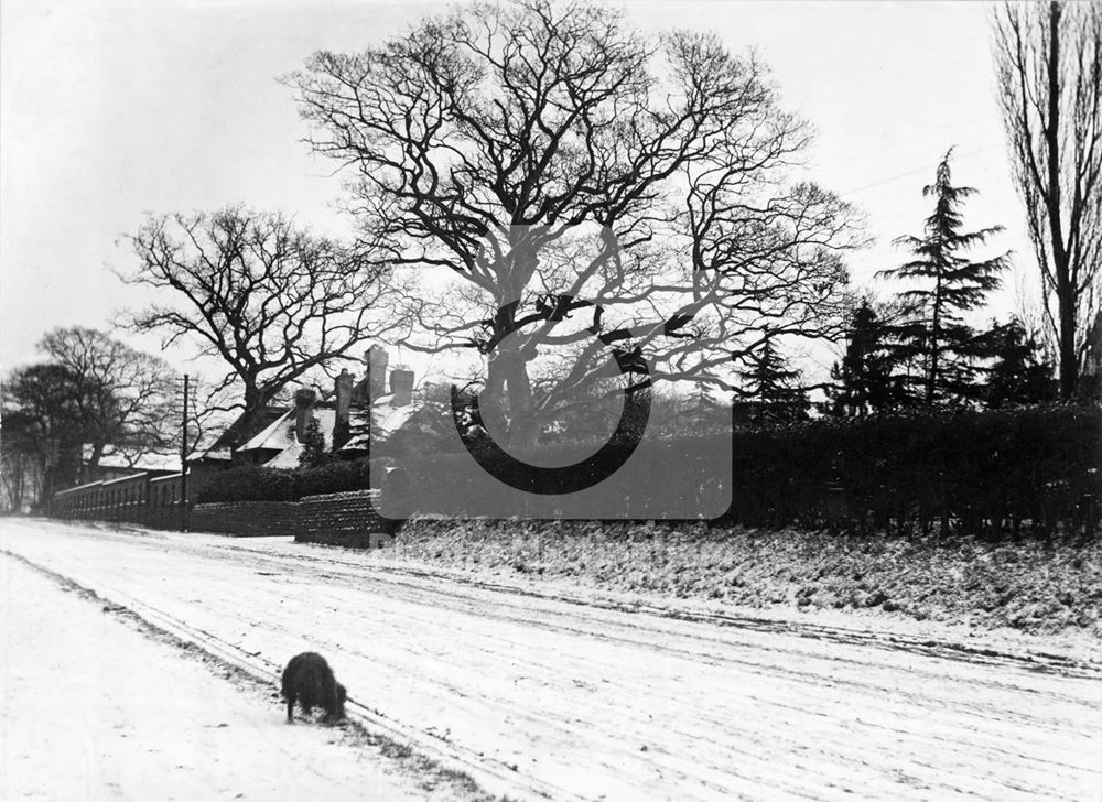 Lenton Firs, Derby Road, Nottingham