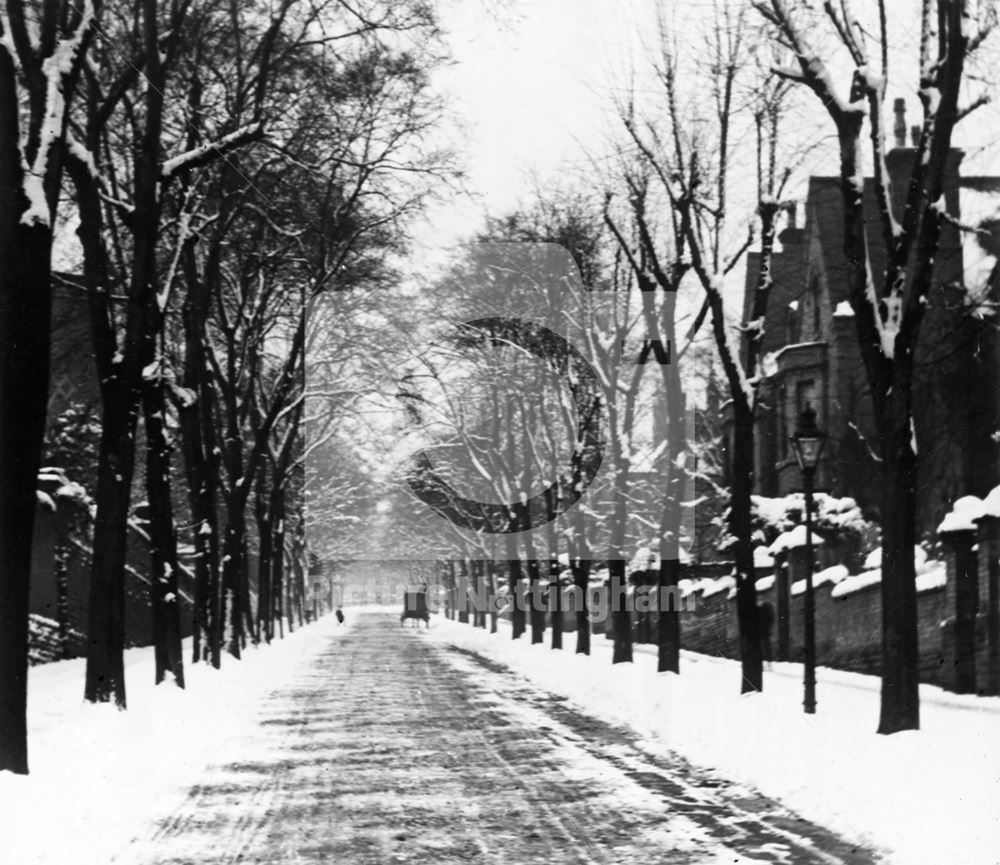 Park Drive in the snow, The Park, Nottingham, 1909