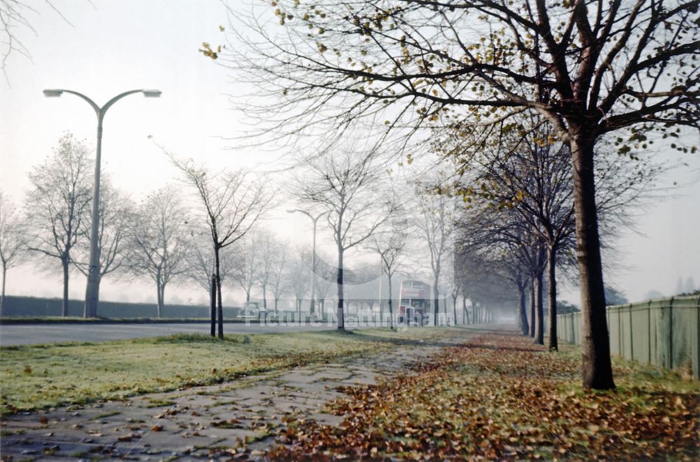 University Boulevard, Nottingham, 1958