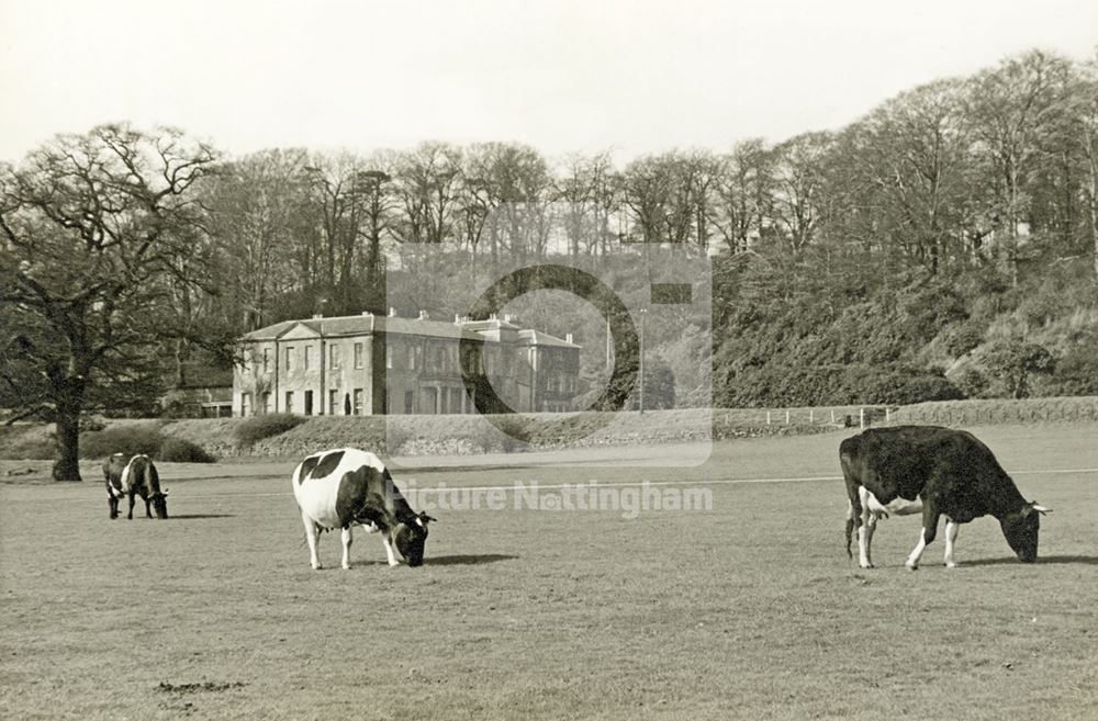 Bramcote Hills House, Bramcote Hills Park, Bramcote, c 1952