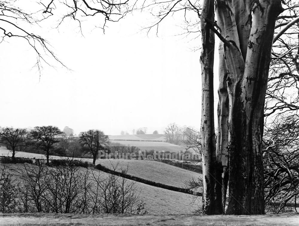 Near Baulk Lane, Bramcote, 1977