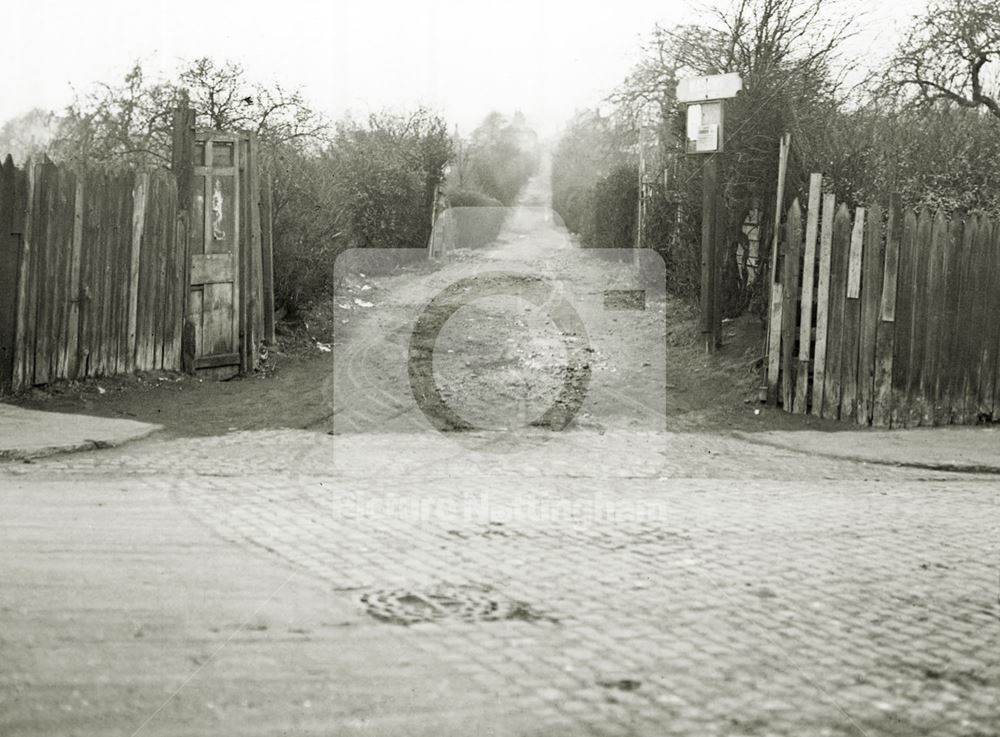 Mason's Avenue, Carlton Hill, Thorneywood, Nottingham, 1931