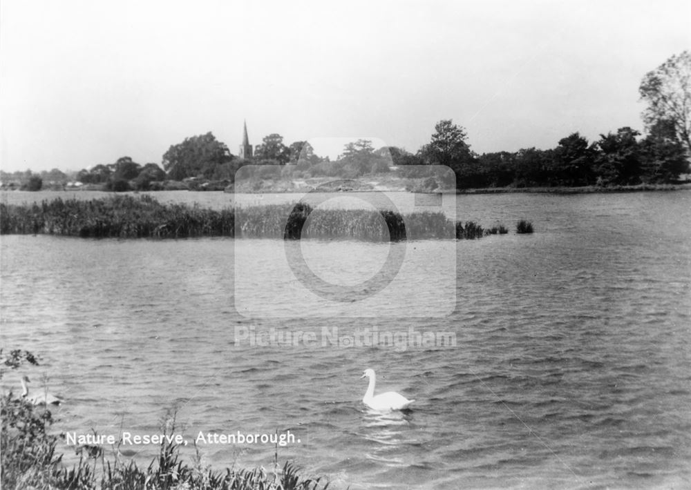 Attenborough Nature Reserve, c 1950s