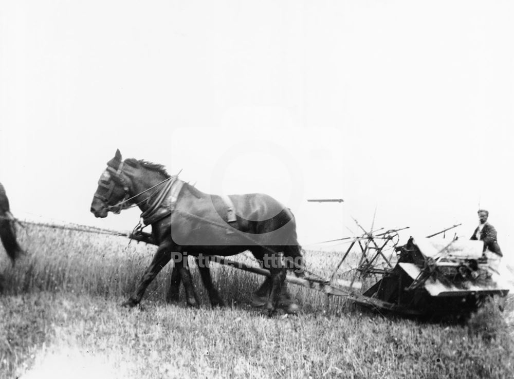 Self-Binder, Orston, c 1900