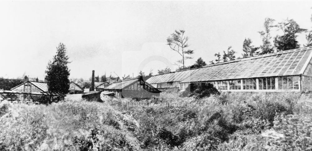 Glass Houses in Walled Garden, Bestwood Lodge, Bestwood, Nottingham, c 1940