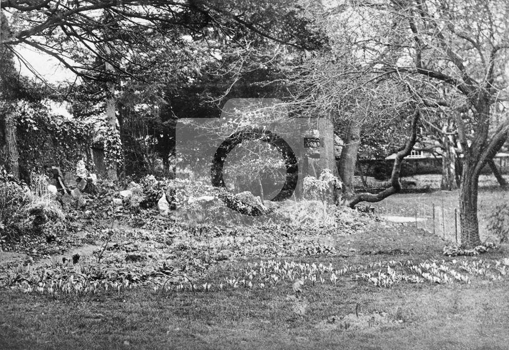 Frank Miles' Garden, Bingham, 1878