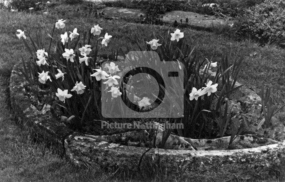 Haughton Chapel ruins, south bank of River Maun, near Haughton, 1978