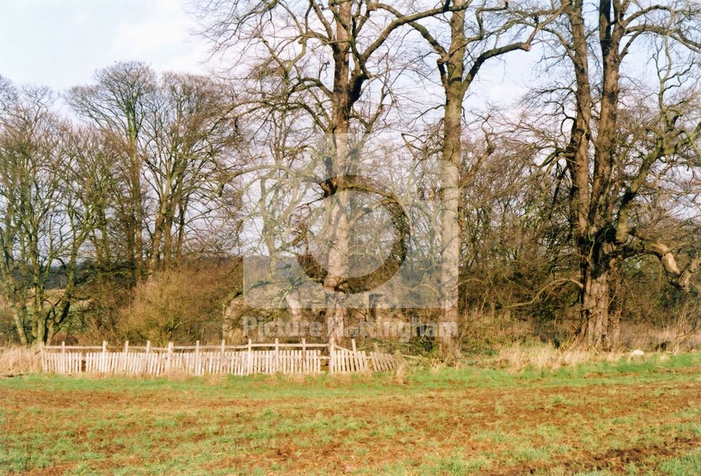 Haughton Chapel ruins, south bank of River Maun, near Haughton, 2004