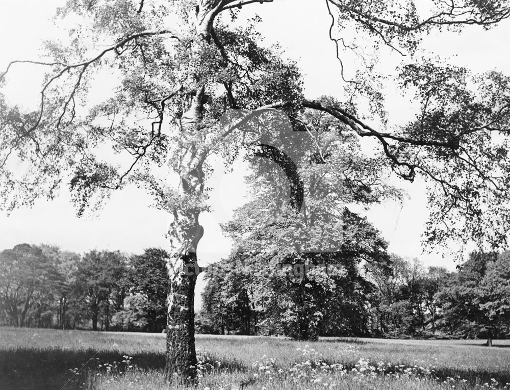 Grounds of Bulwell Hall, Bulwell Hall Park, Bulwell