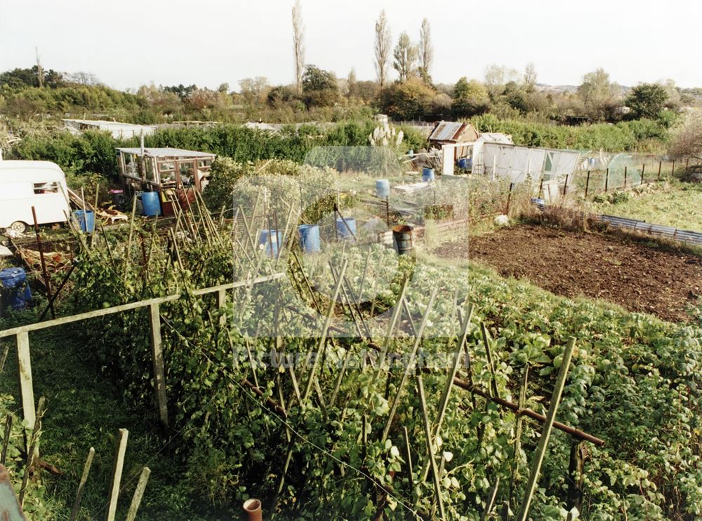 Blenheim Allotments, Blenheim Lane, Bulwell, 2001