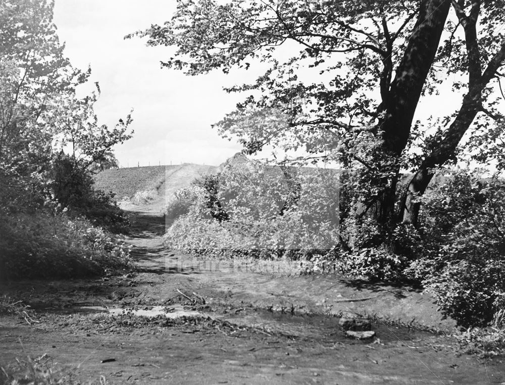 Grounds of Bulwell Hall, Bulwell Hall Park, Bulwell