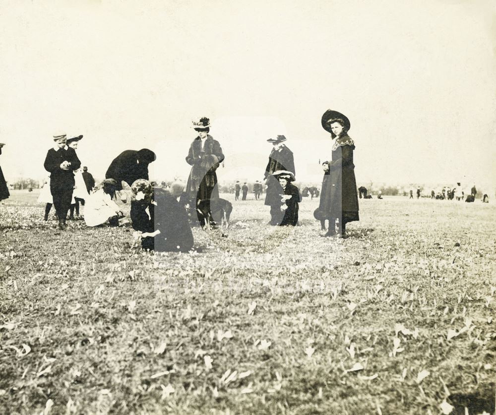 Crocus Gatherers, Lenton Fields, Lenton, Nottingham, c 1900