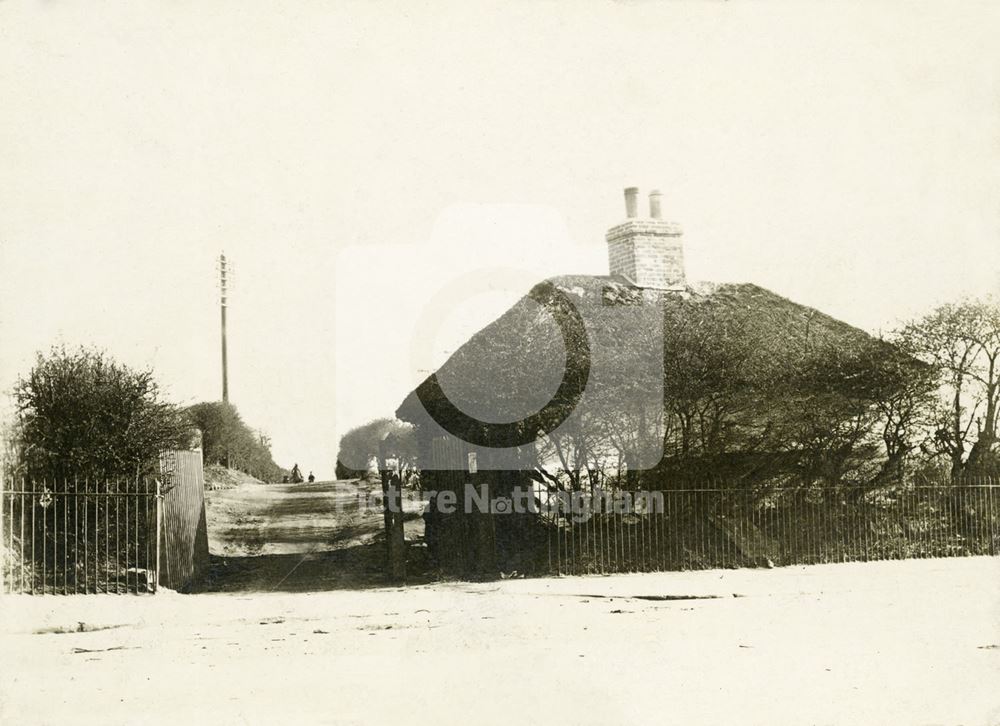 Thatched Cottege, Mills' Lane, Lenton, Nottingham, c 1900