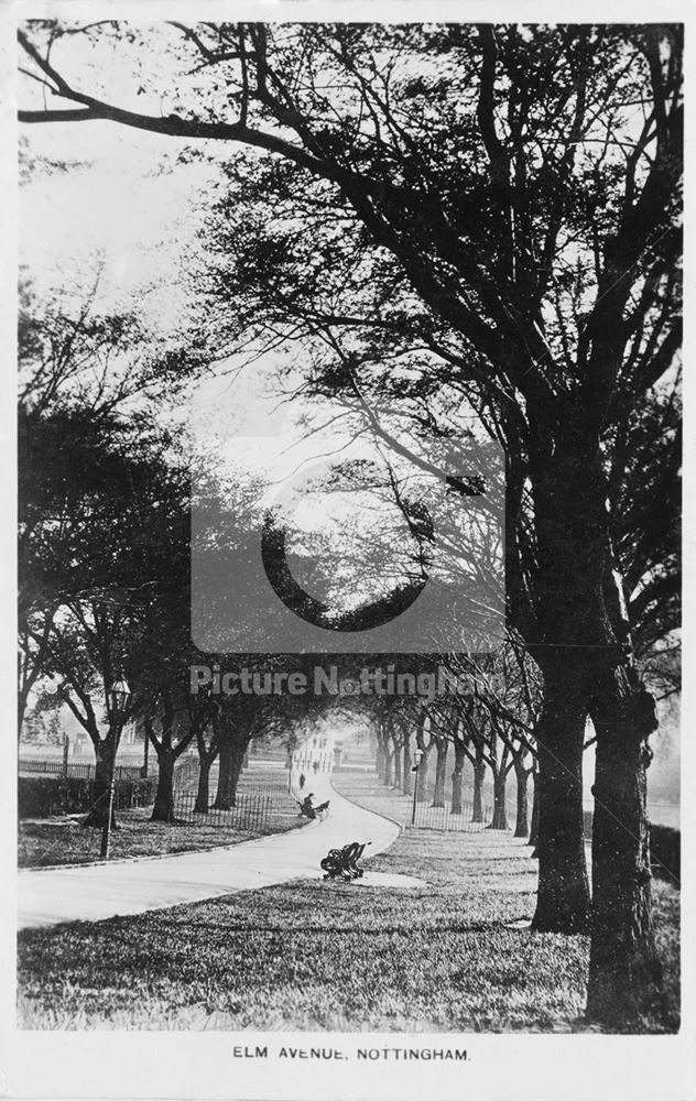 Elm Ave, St Ann's, Nottingham, 1912