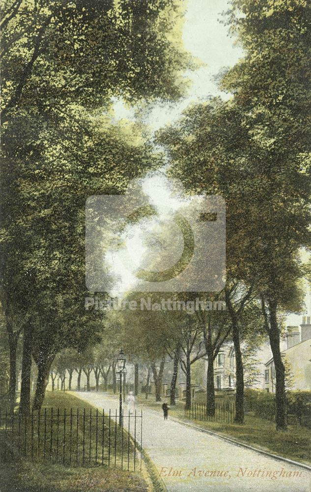 Elm Ave, St Ann's, Nottingham, c 1905