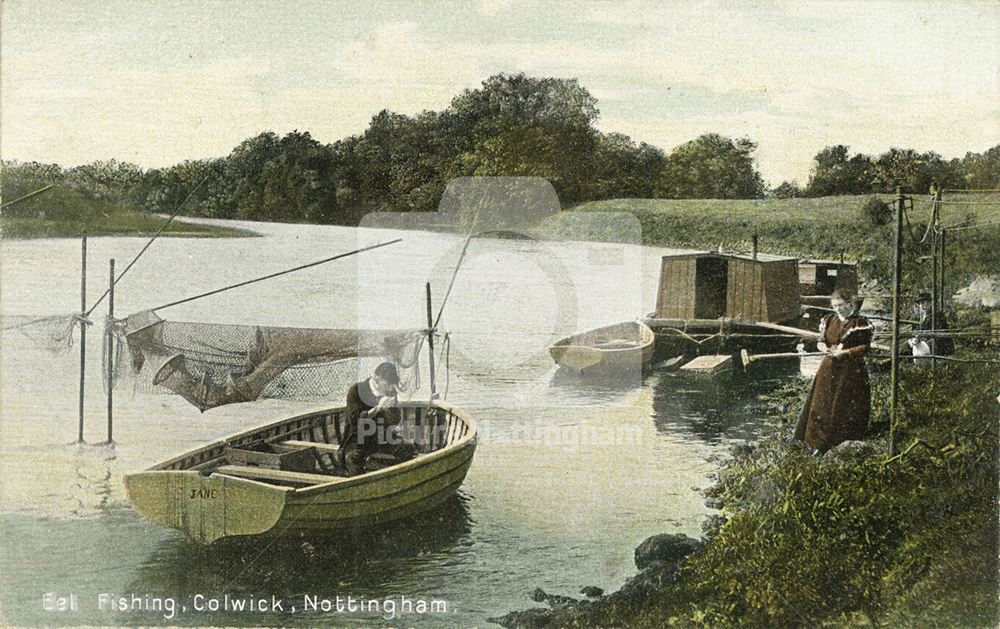 Eel Fishing, Colwick, c 1907