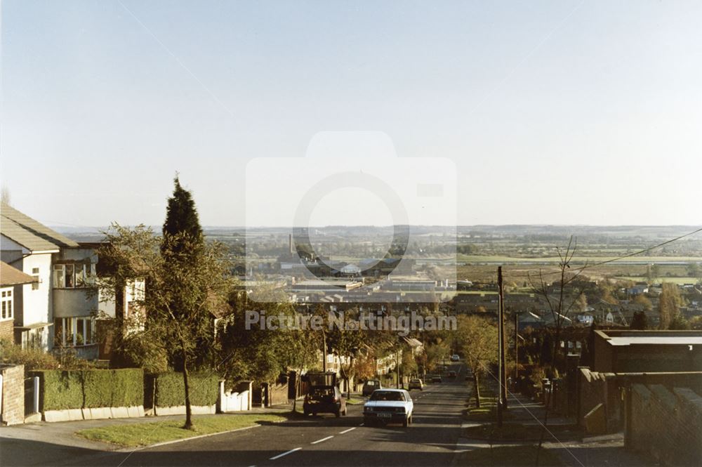 Douglas Avenue, Carlton, 1985