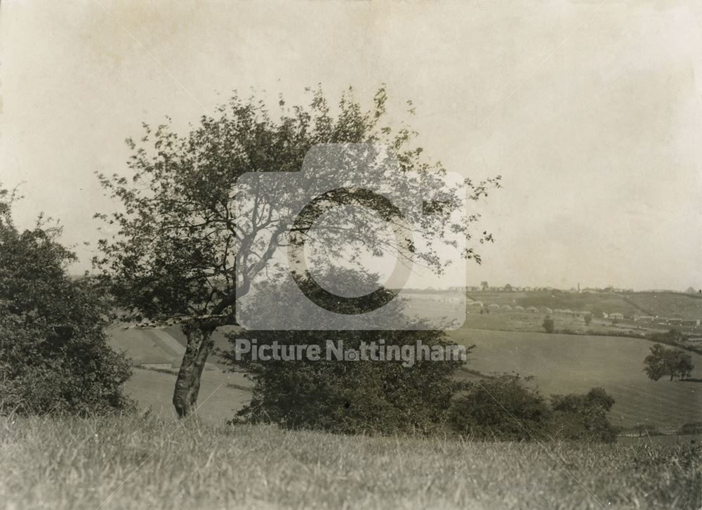 View from Standhill Road, Carlton, 1936