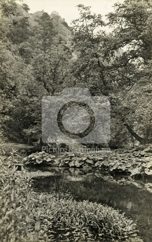 View of River Dove, Dovedale, c 1930s