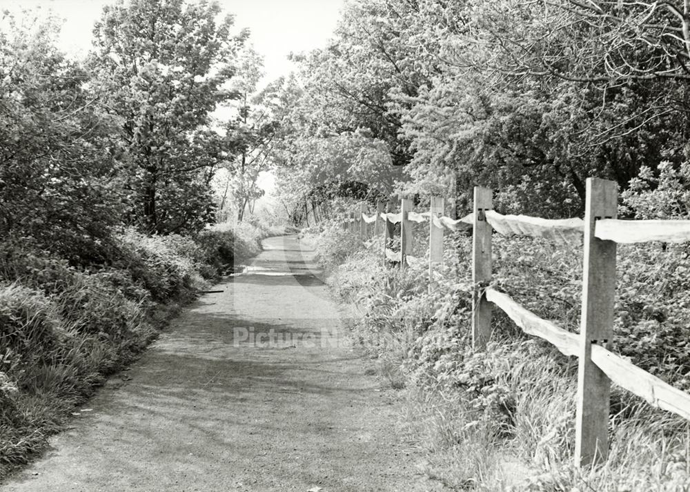 Colwick Country Park, Colwick, Nottingham, 1983