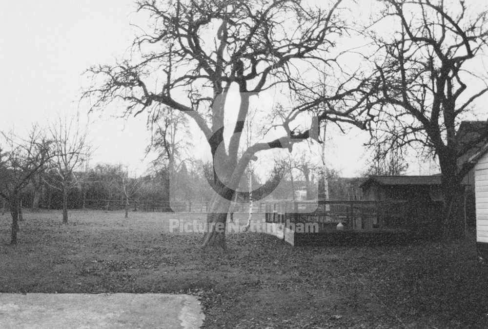 Open Land Behind No.7 Nethergate, Clifton, Nottingham, 1983