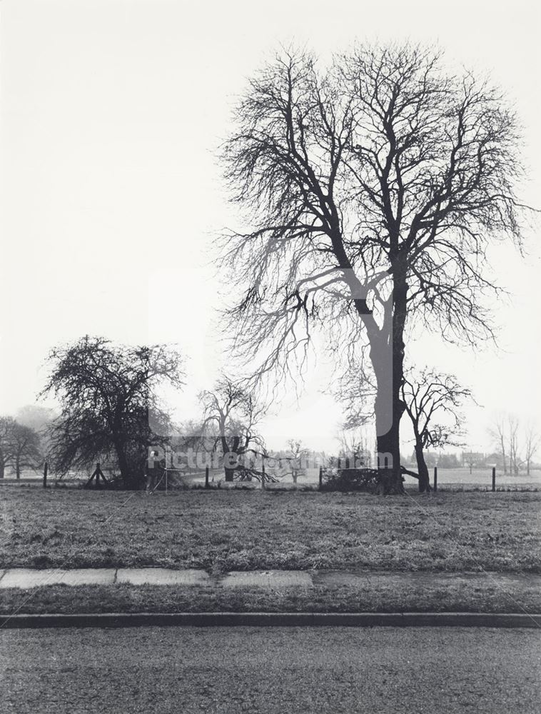 Hirst Crescent and Wollaton Park, Wollaton, Nottingham, 1977