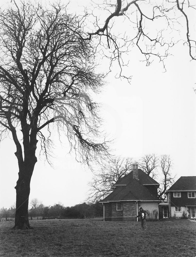 Hirst Crescent Looking North-West, Wollaton, Nottingham, 1977