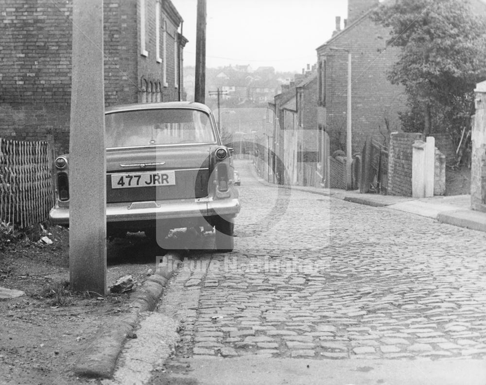 Holly Gardens, Thorneywood, Nottingham, c 1960s