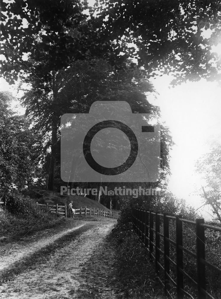 Sandy Lane, Cuckney, 1932