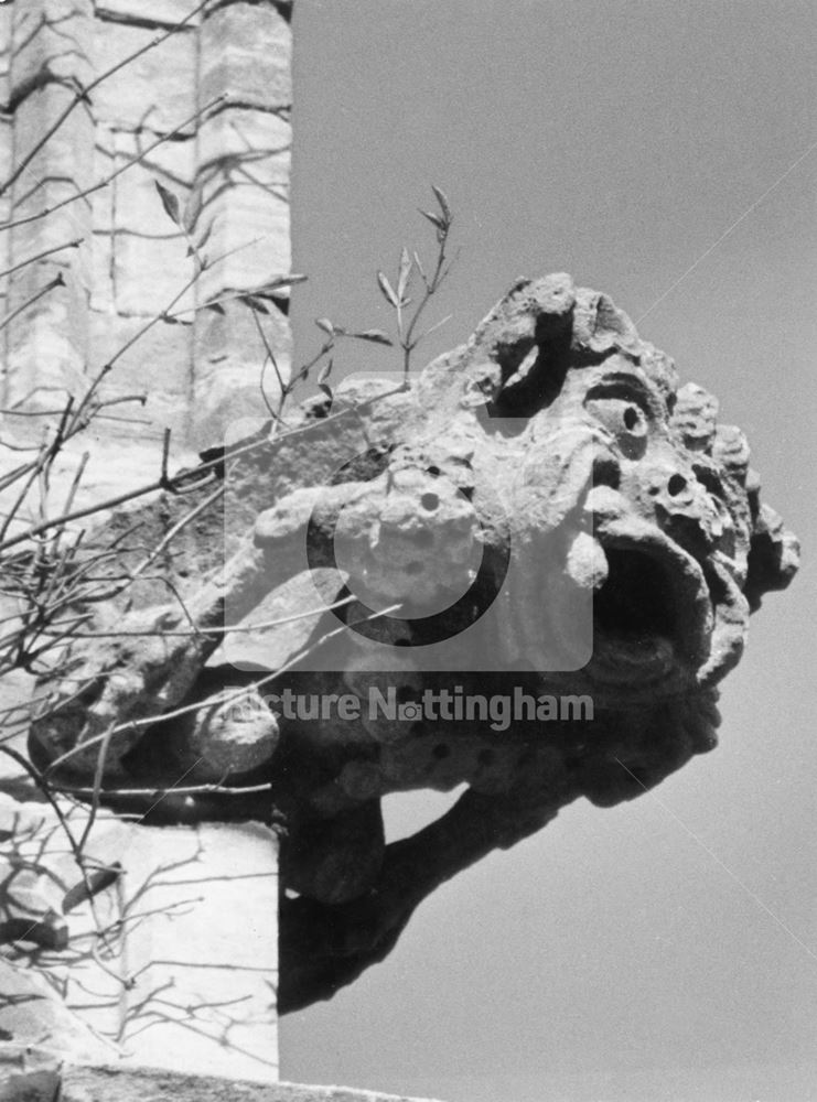 Gargoyle on Tower, St Mary's Church, off New Road, Colston Bassett, 1977