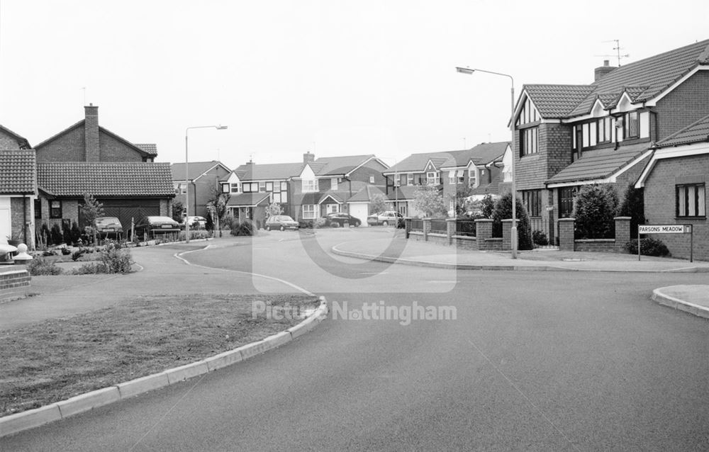 Crosslands Meadow, Riverview Park, Colwick, Nottingham, 1995