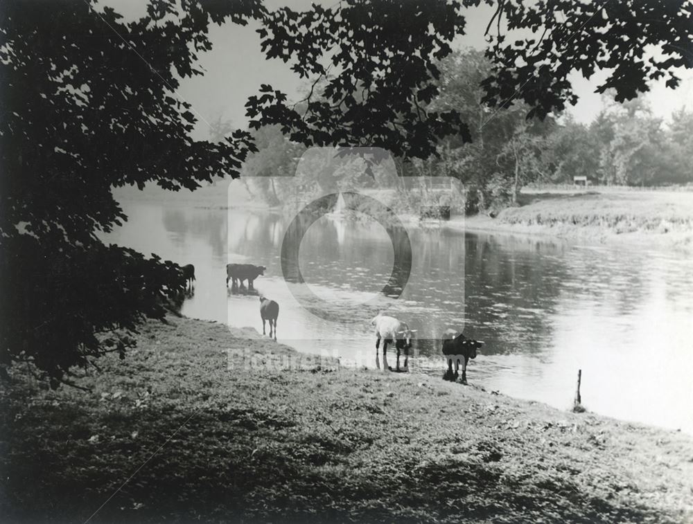 River Trent from Grounds of Kelham Hall, Kelham, c1930s ? 