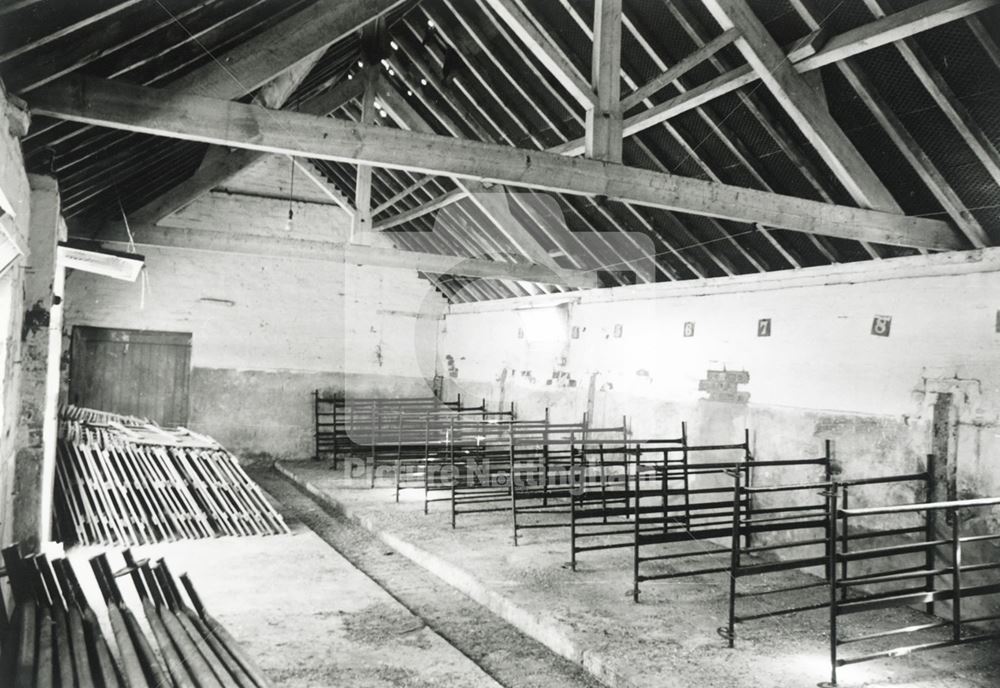 Milking Shed Interior, Hills Farm, Kneeton, 1978