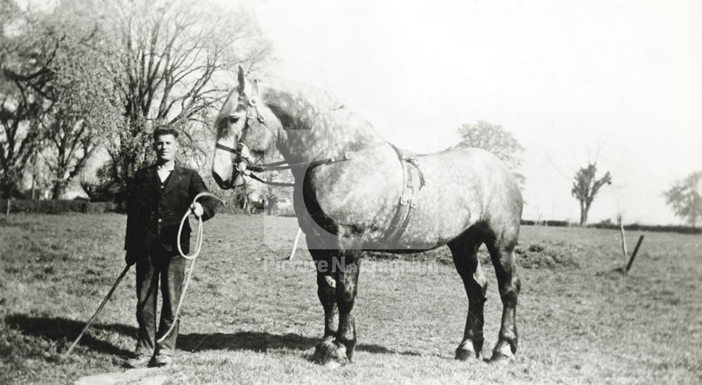 Shacklocks Farm, Edwalton, 1948