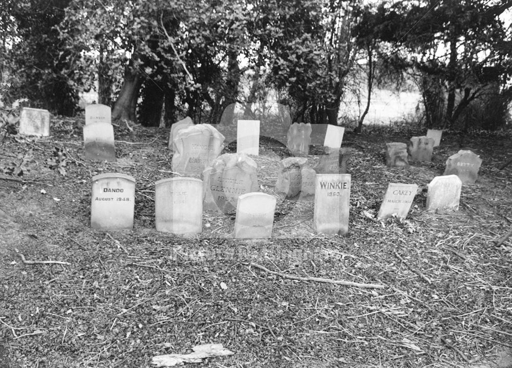 Dog Cemetery, Kingston Hall, Kingston on Soar, 1978