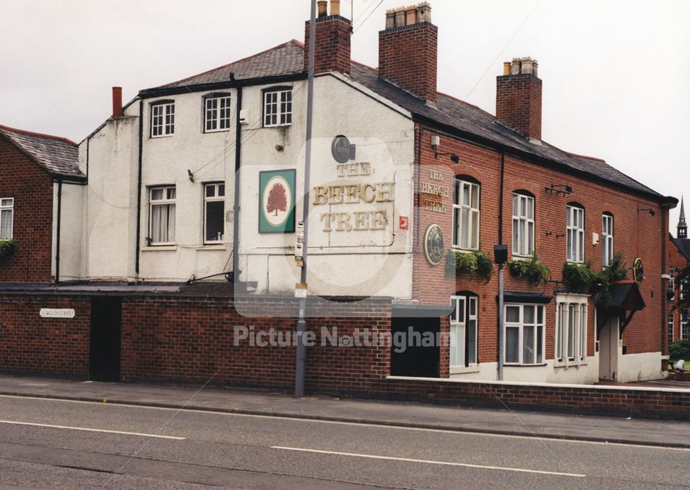 Beech Tree, Middle Street, Beeston, Nottingham, 1998