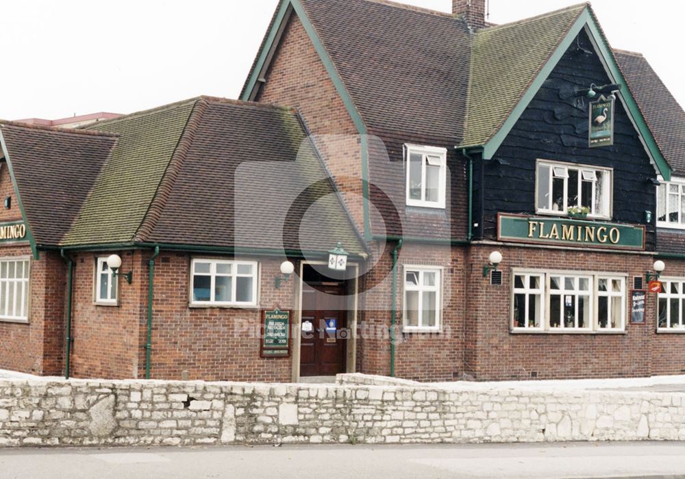 Flamingo, Kilton Hill, Worksop, August 1998